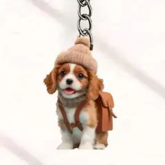 ゆうたん様 リクエスト 2点 まとめ商品