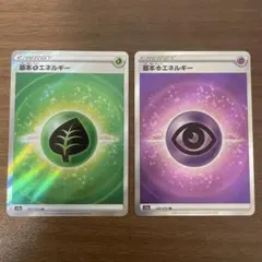 基本草・超エネルギー SR S12a 251/172、255/172