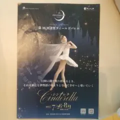 2025年最新】gisele 8の人気アイテム - メルカリ