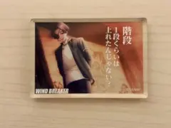 WIND BREAKER ウィンブレ アクリルブロック 蘇枋隼飛
