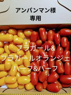 (アンパンマン様専用)ミニトマト　フラガールハーフ＆ハーフ1キロ