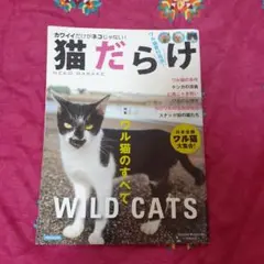 ねこっと工房様 リクエスト 2点 まとめ商品