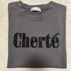 Tシャツ グレー
