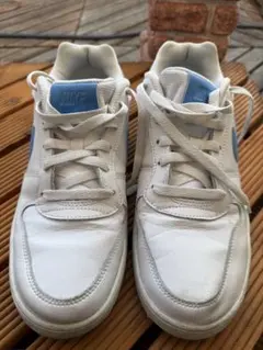 Item thumbnail for item 527e52da-a7e2-42e3-b5ec-c17b73cffde5