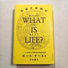 Item thumbnail for item 7bc5980e-dd76-4651-97ee-1306c8df71d6