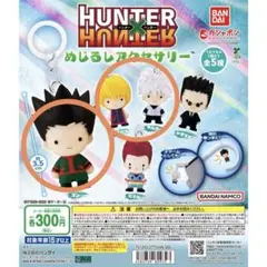HUNTER×HUNTER 第一弾 めじるしアクセサリー 全5種コンプ - メルカリ