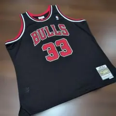 未使用品】 NBA ラシード・ウォレス ブレイザーズ ユニフォーム 刺繍