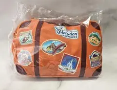 ディズニーバケーションパッケージ ブランケット