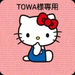 TOWA様専用