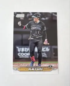 2025年最新】加藤豪将の人気アイテム - メルカリ