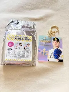 福岡ソフトバンクホークス 松本裕樹アクリルキーホルダー 2025 日本一グッズ