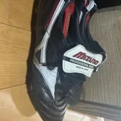 Mizuno Professional Model 2