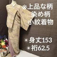 上品な柄 染め柄 小紋 正絹 広衿 袷 YK-819