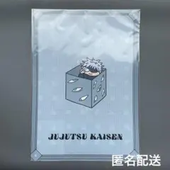 【匿名配送】呪術廻戦(五条悟・夏油傑)ジロリ クリアファイル E