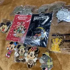 東京ディズニーランド ピンバッジ チャーム セット