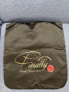 安室奈美恵 Finally ツアー 토트 백