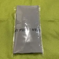 MY FIRST STORY MFS マイファス マルチバッグ　ホールバージョン