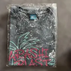 Item thumbnail for item b8216569-89c6-4f16-9c58-8214744aeb8a