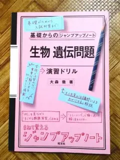 柴犬様 リクエスト 2点 まとめ商品