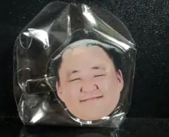 大相撲　力士　ヘアクリップ