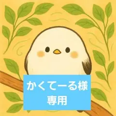 かくてーる様専用ページ