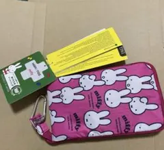 Item thumbnail for item 245b2e76-7ca0-42bc-a401-df8e490d74b8