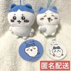 ハチワレ マスコット ぬいぐるみ パツワレ ぱっつん おむすび ちいかわのサムネイル