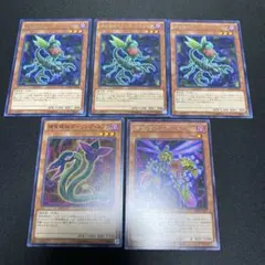 捕食植物オフリススコーピオ 3枚 +おまけ