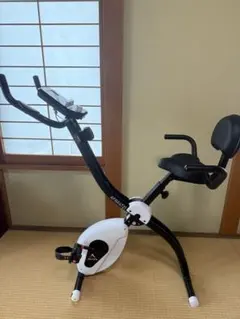 ALINCO FITNESS エアロバイクmg50780 - メルカリ
