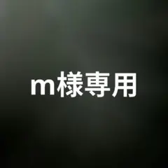 m様 リクエスト 2点 まとめ商品