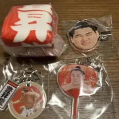 大相撲　豊昇龍　ガチャ　まとめ売り