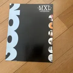 Item thumbnail for item b056b60e-2182-4783-b221-bda9eafe2faf