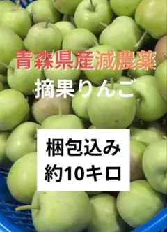 青森県産 減農薬 摘果りんご 梱包込み 約10キロのサムネイル