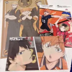 ハイキュー!! 日向翔陽 影山飛雄 月島蛍 クリアファイル 烏野