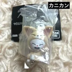 ジニレット　SKZOO つまんでつなげてますこっと　2 Jiniret カニカン