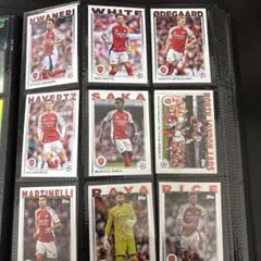 Item thumbnail for item 1a22879a-9970-45aa-bc1f-3d8980617a3d