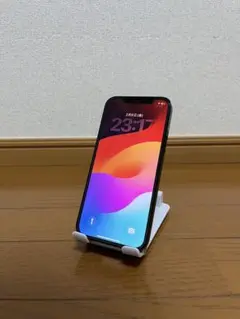 Apple iPhone 12 Pro SIMフリーケース付き