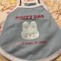 Item thumbnail for item fbf345d9-0810-4f09-bea8-c84d7fcb1710