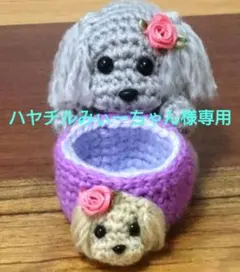 ハヤチルみぃーちゃん様専用 トイプードル あみぐるみ