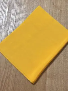 Item thumbnail for item 65a98113-96d8-4214-8199-ee47f2a0b0e2