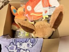 ピカピカボックス 2026 ポケモンセンターオンライン コイキング オス