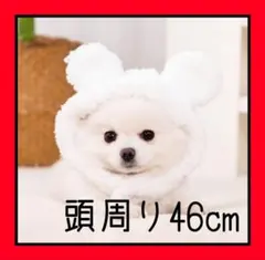 犬用　猫用　帽子　クマ　ふわふわ　小型犬　未開封　新品未使用