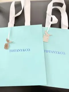 Tiffany & Co. 水色ショッピングバッグ 2個セット