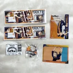 ハイキュー 田中龍之介 まとめ売り