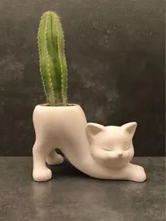 猫の植木鉢 プランター サボテン 多肉植物 ねこ インテリア 3Dプリント