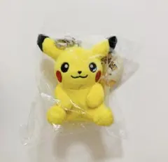 2025年最新】ピカチュウ 韓国 ぬいぐるみの人気アイテム - メルカリ