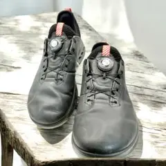 新品未使用 BIOM® C4 JAPAN LIMITED EDITION BIOM® C4 JAPAN LIMITED EDITION 【 ECCO x MINOTAUR INST. 】