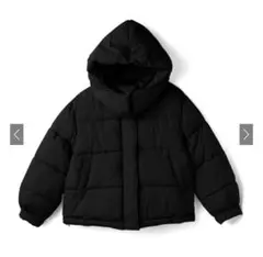 Item thumbnail for item 559f704d-89de-40dd-b47d-dc47aef64844