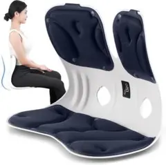 姿勢矯正 椅子 バランスチェア 腰痛 ヘルニア 通気性 ブルー 防水 抗菌