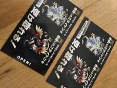 ポケモン 色違い ミライドン コライドン 2枚